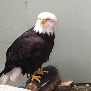 Meet your Posher, Becky